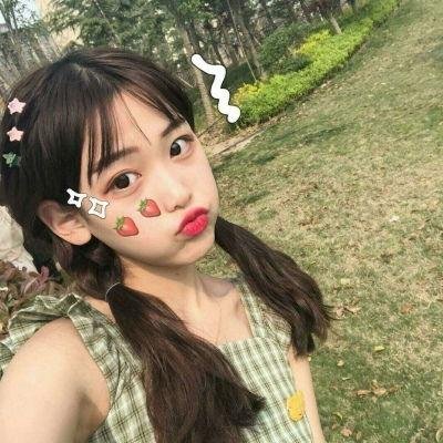 盗影谜情